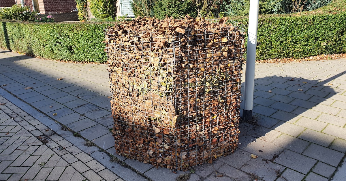 Nieuwe locaties voor bladkorven in Geertruidenberg: alleen voor bladafval