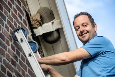 Boer Martijn biedt graag de beschermde huiszwaluw een woning: ‘Het enige nadeel is de poep’