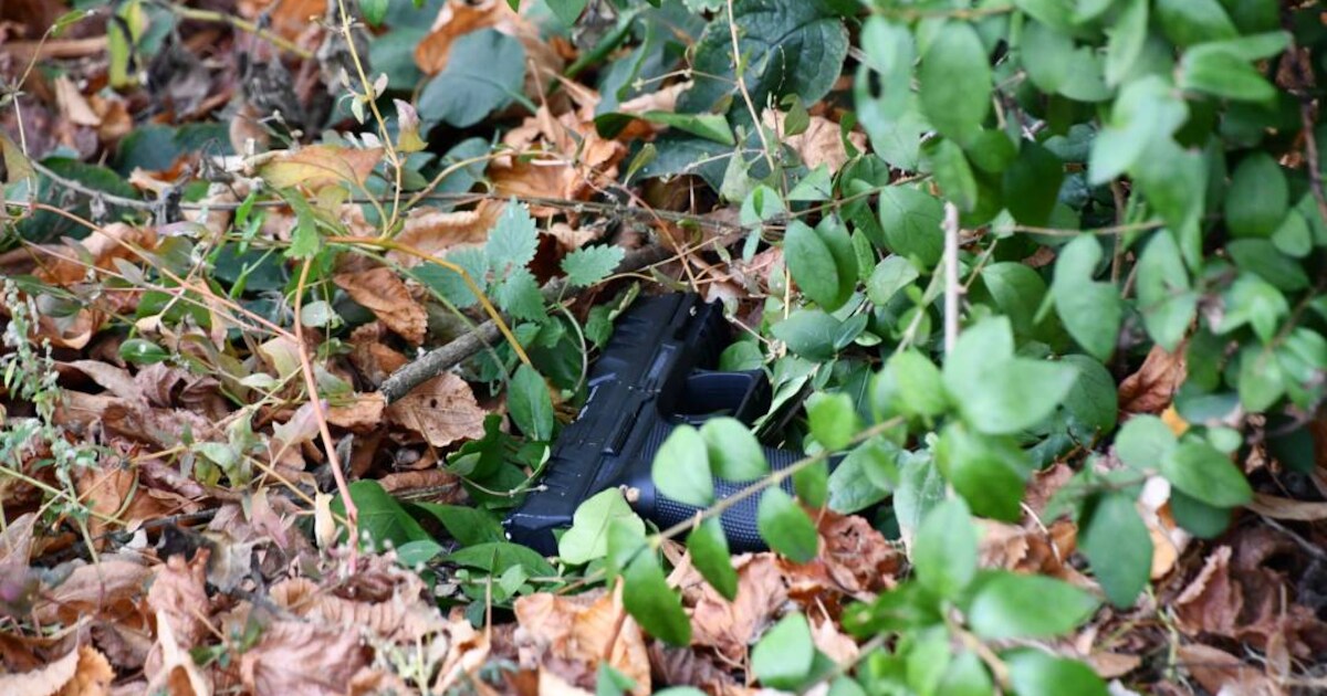 Vuurwapen gevonden in de bosjes na ruzie tussen minderjarigen bij winkelcentrum TREF