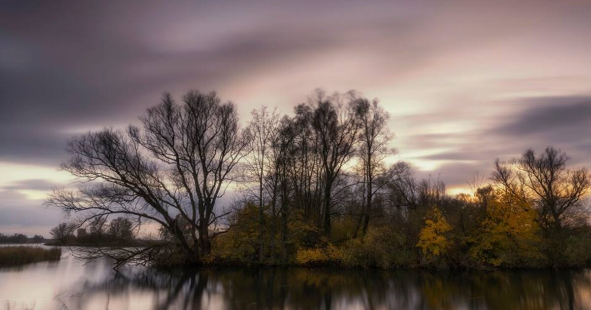 Vanaf haven Drimmelen met pontje Biesbosch in | Regio | BN DeStem.nl