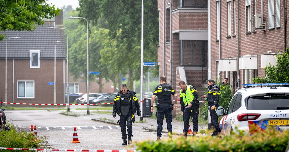 Twee Tilburgers aangehouden na schiet- en steekpartij in woning