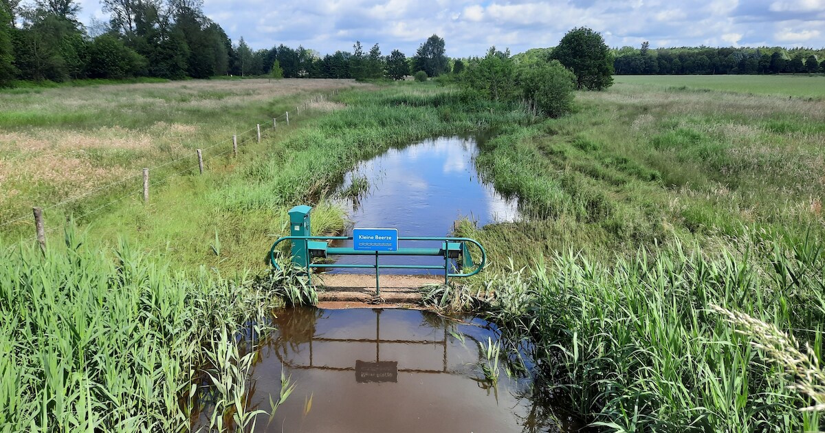 De Kleine Beerze in Hoogeloon: tijdens en na de wateroverlast
