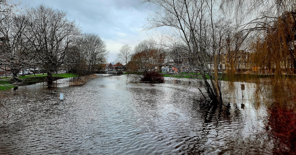 IVN Mark en Donge neemt wandelaars mee langs natuur van de Aa of Weerijs in Breda