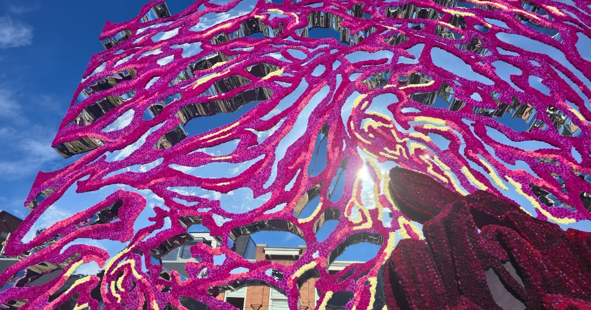 Dit is de winnaar van het Zundertse Bloemencorso 2026: ‘Dit is zo overweldigend’