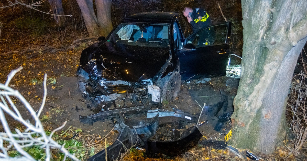 Auto knalt tegen boom bij afrit A20 in Schiedam; inzittenden slaan op de vlucht
