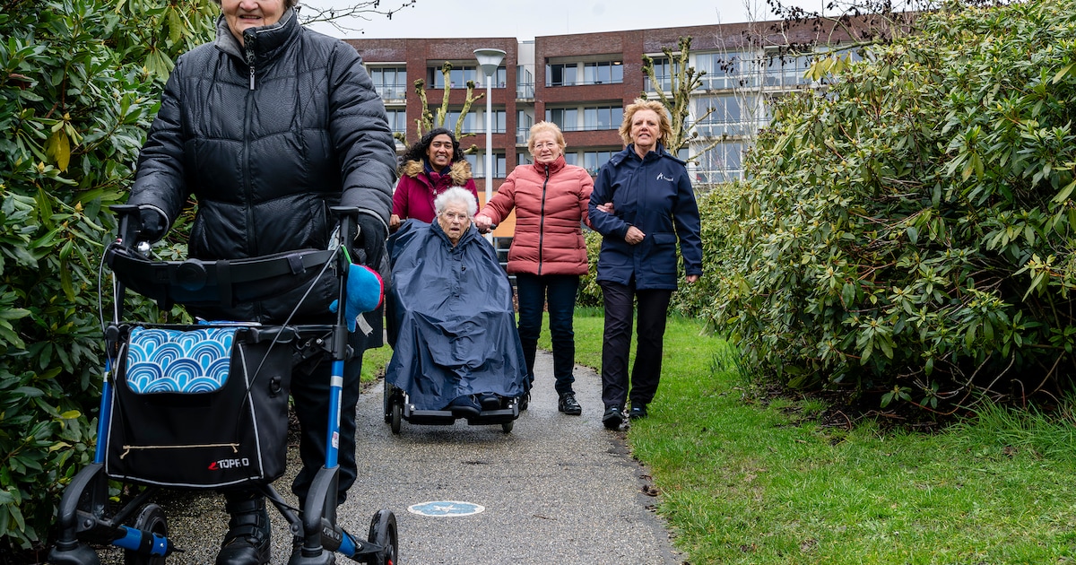 Blokje om zonder paniek: in Etten-Leur volgen mensen met dementie nu gewoon een bloemetje op de stoe