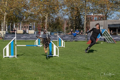 Plan voor hondenpension aan Grauwe Polder zorgt nu al voor onrust: ‘Dit wordt onze nachtmerrie’