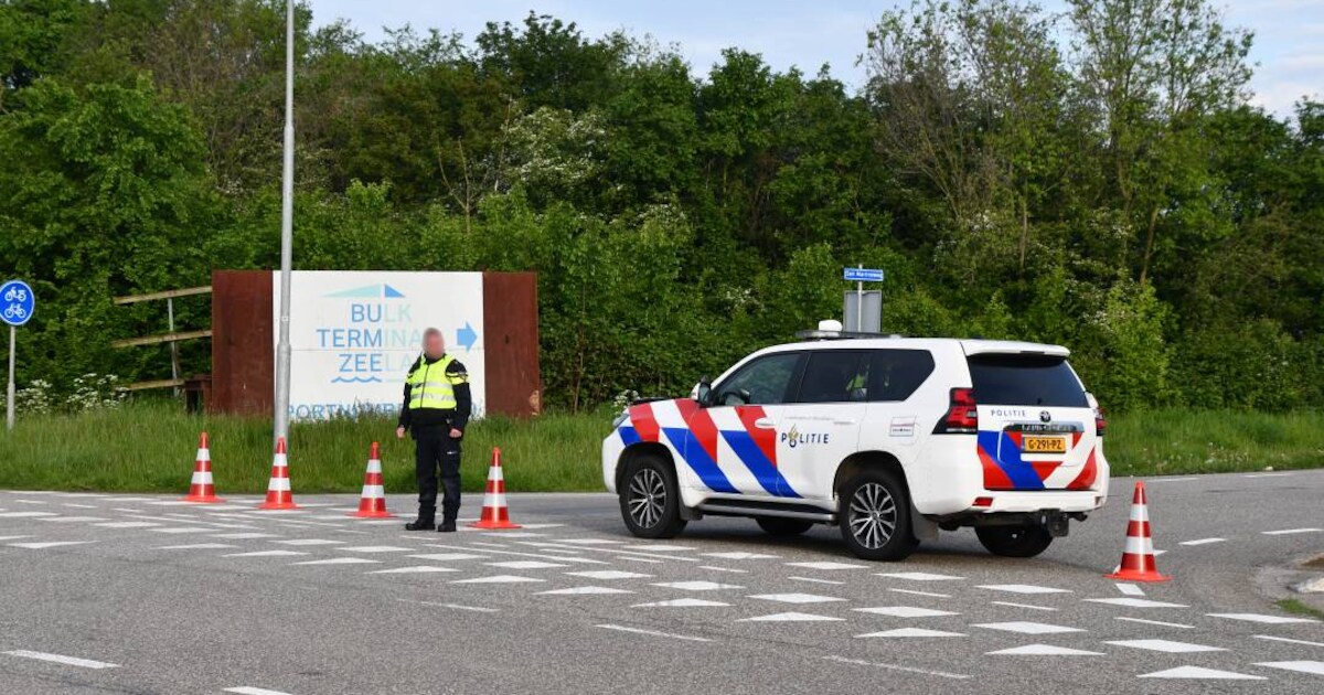 ‘Na ons de zondvloed’: directeur Bulk Terminal Zeeland was al eerder in ...