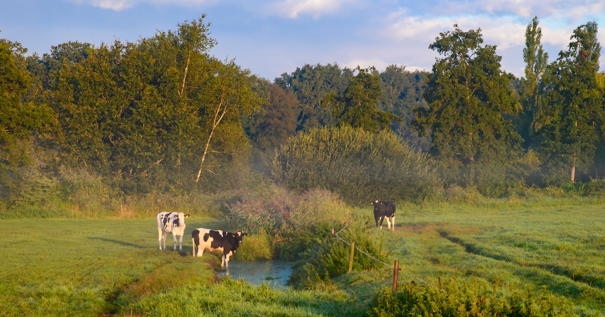 Gratis wandeling bij natuurgebied Oudland met IVN