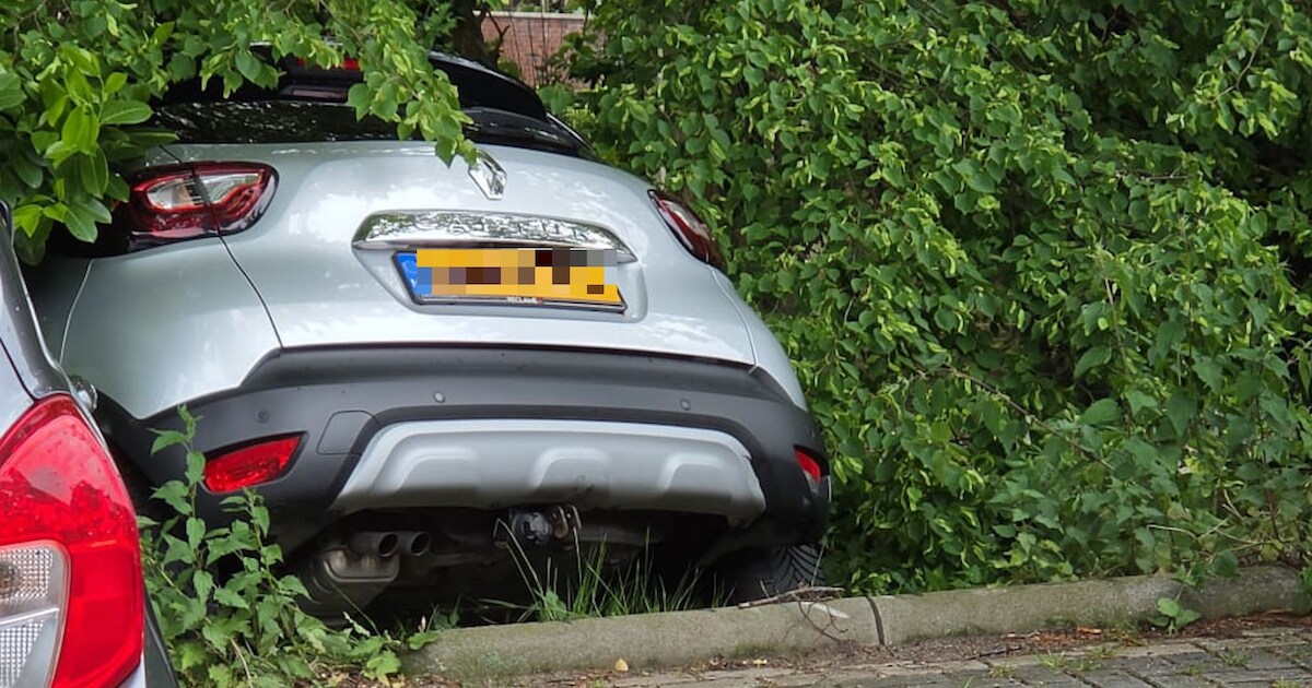 Vrouw raakt gewond als zij met auto van parkeerplaats bosjes in rijdt in Werkendam