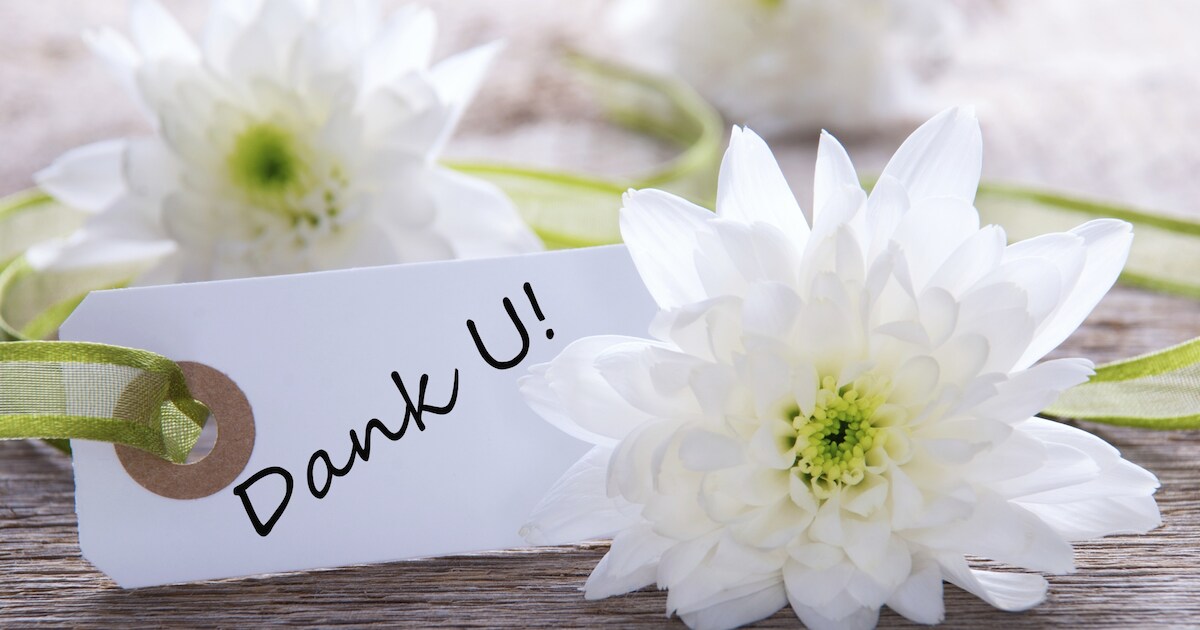 Vele kilometers hebben ze gelopen in Brouwhuis: vrijwilligerspenning voor vijf bezorgers wijkblad