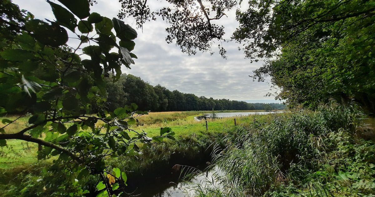 Brabants Landschap ontvangt 2,9 miljoen euro voor bosherstel Pannenhoef en Groote Slink-Bunthorst