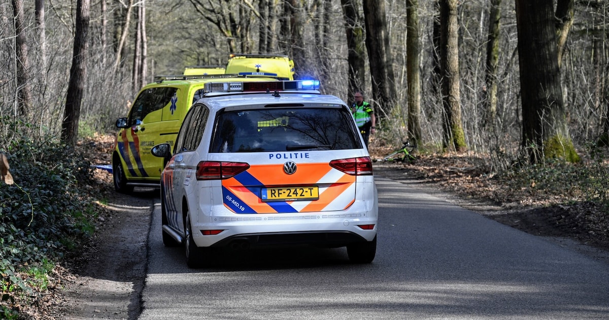Wielrenner (76) overleden bij aanrijding met motorrijder in bosgebied bij Bavel