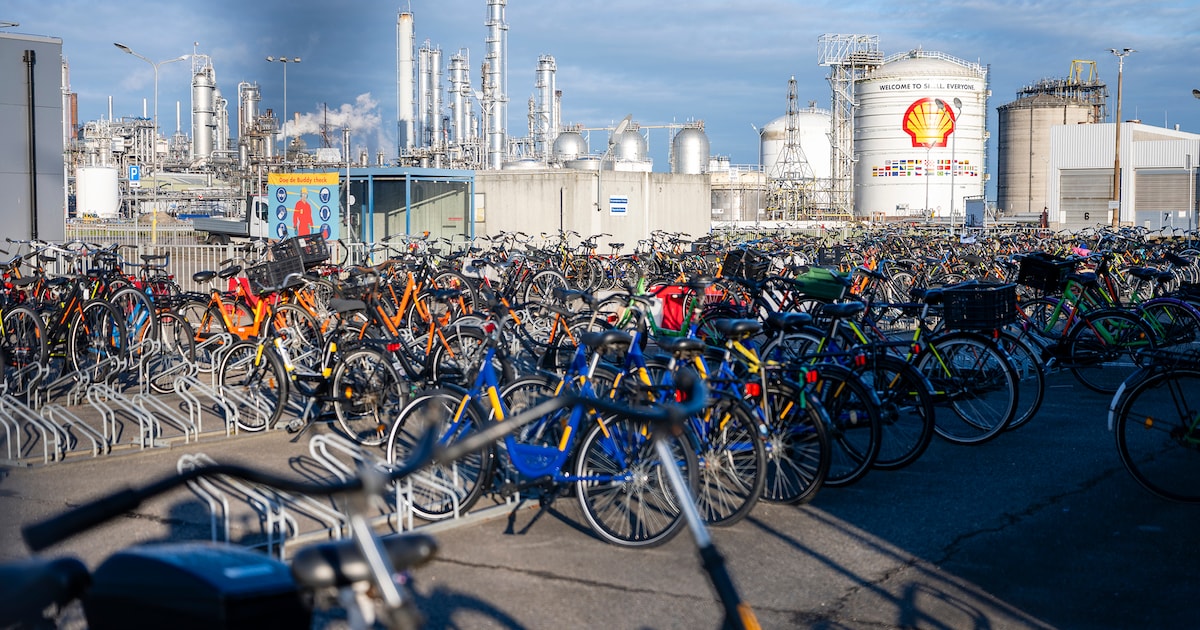 Verkoop of zelfs sluiting Shell Moerdijk dreigt: 850 werknemers volgens ...