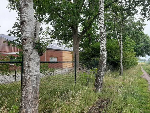Zaak rond ‘martelcontainers’ Wouwse Plantage: verdachten langer vast ...
