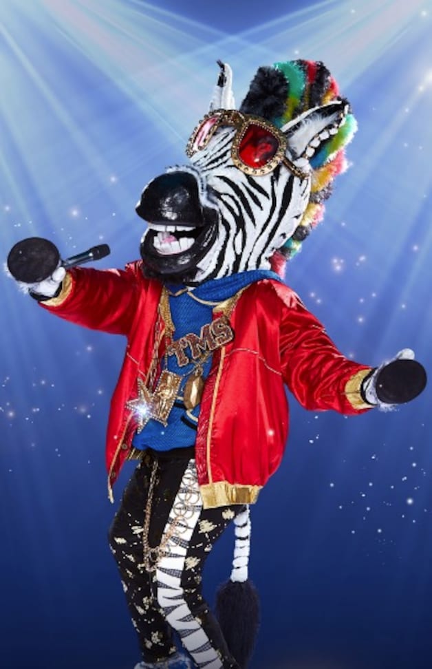 The Masked Singer-creaties Vuurvogel, Neptunus en Zebra in Bredaas ...