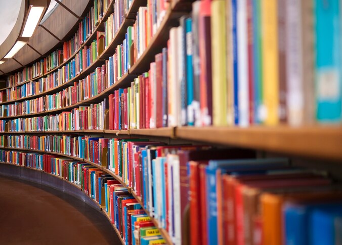 Theek 5 sluit bibliotheek in Baarle-Nassau tijdelijk vanwege extreme ...
