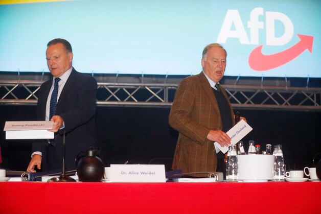 Rellen bij start congres Duitse politieke partij AfD | Nieuws | BN ...