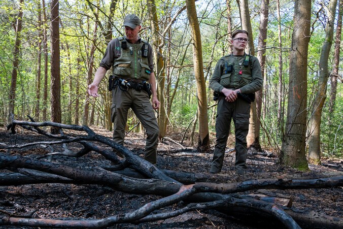 Extra inspecties in de natuur: geen nieuwe brandhaar­den, maar dit ...