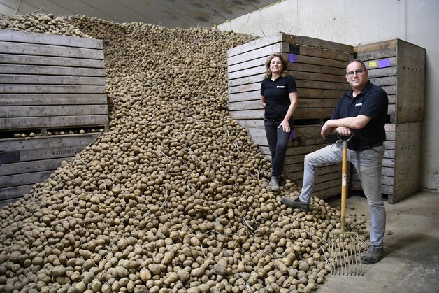 Massaal aan de aardappelen om van het overschot af te komen: ‘Nog nooit ...