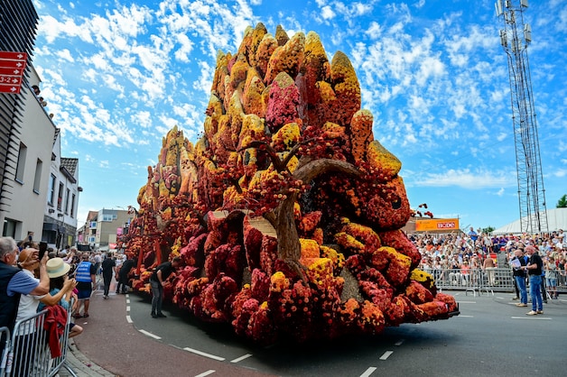 Vakjury bloemencorso Zundert spreekt zich uit over felle reacties na de ...
