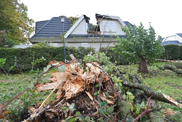 Enorme boom valt op woonwagen in Breda: kinderslaapkamer verwoest ...