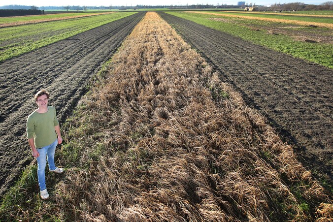 Ivar (24) teelt oergewassen: ‘Elke drie meter een ander gewas, dat is ...