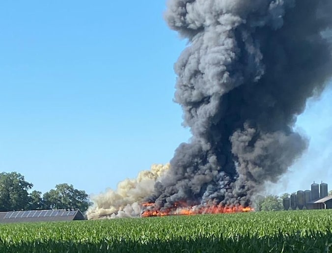 Grote schuurbrand in Rossum in Twente: tientallen kalveren dood ...