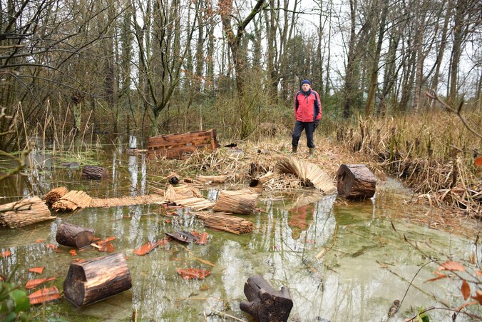 Vrijwilligers moedeloos van vernielzucht in natuurgebied De Oude ...