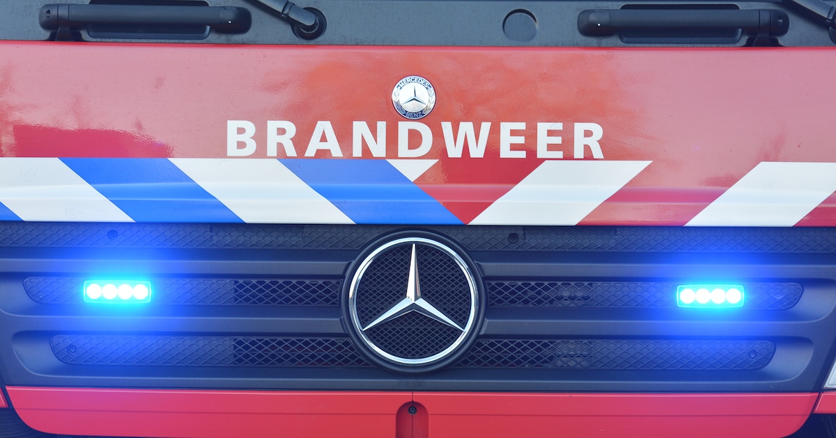 Brandweerman Mike Boelaars krijgt zilveren gemeentespeld bij afscheid in Oosterhout