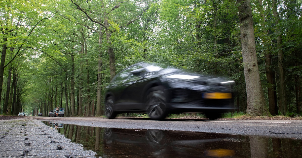 Auto’s niet meer welkom op Bredase Bouvignedreef: ‘Meer ruimte voor wandelaar en fietser’