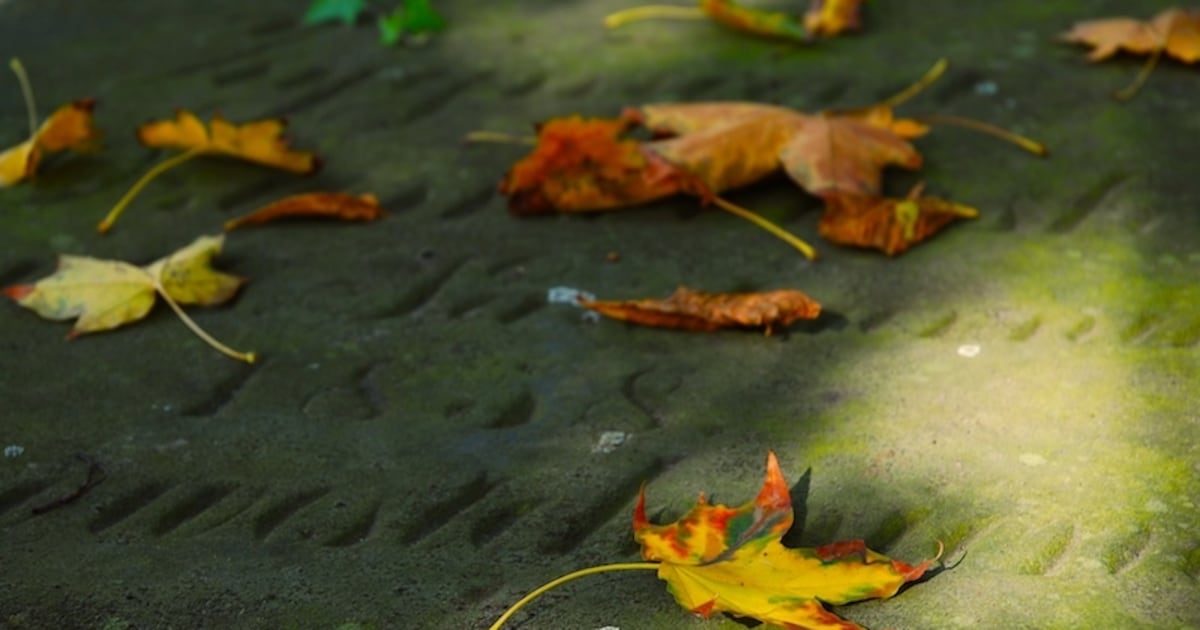Gemeente Dongen verwijdert graven op begraafplaatsen De Kremer en ’s Gravenmoer