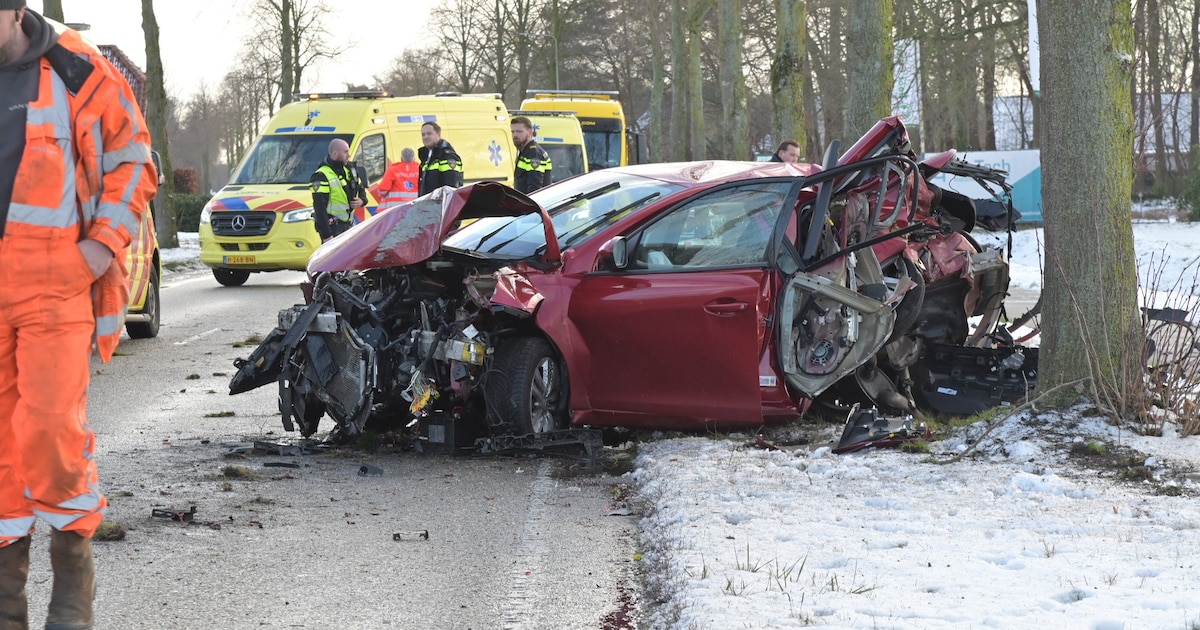 Twee mannen (20) gewond nadat auto tegen boom botst in Zundert, traumahelikopter opgeroepen