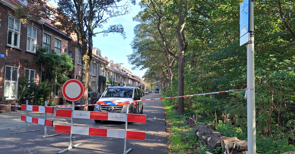 Dodelijk slachtoffer (80) in Bergen op Zoom was vroeger sportmasseur, verdachte uit Roosendaal (38) 