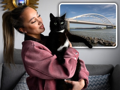 Baasjes zoeken wanhopig naar vermiste katten, maar dieren duiken kilometers verderop op: ‘Ze zijn ge