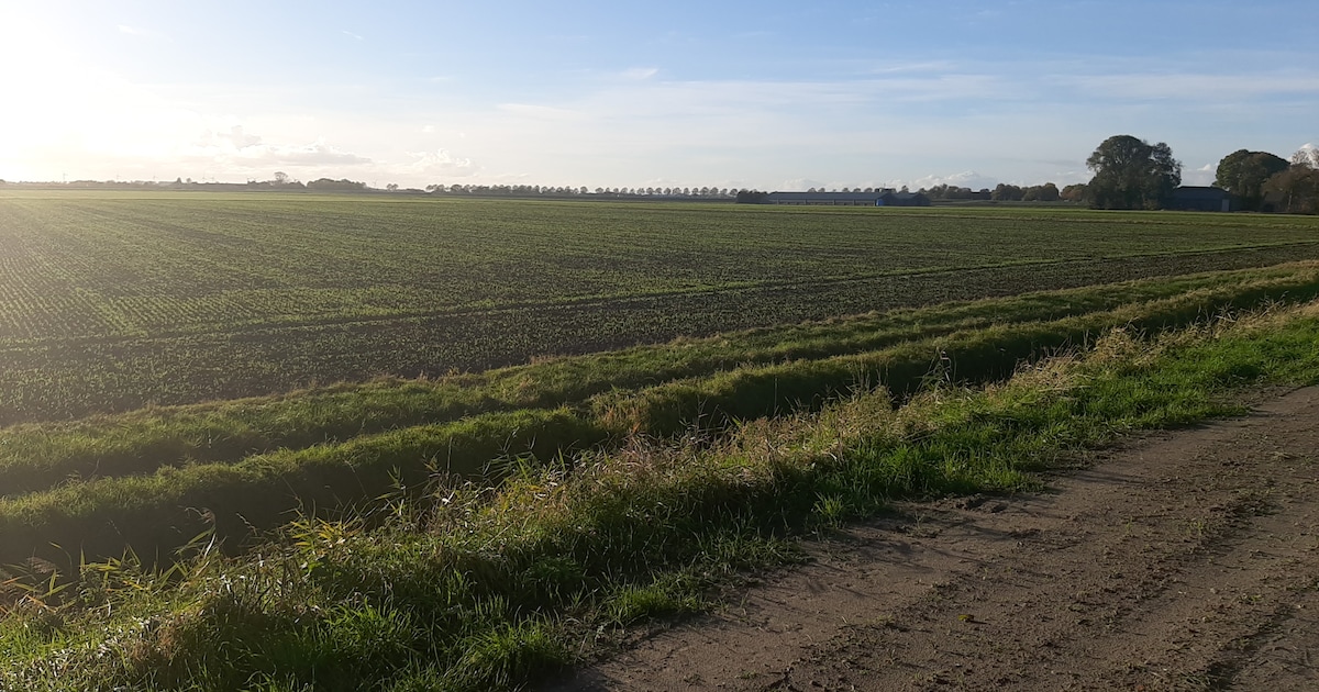 Laatste hobbel voor randweg Klundert is genomen; bezwaren boer afgewezen
