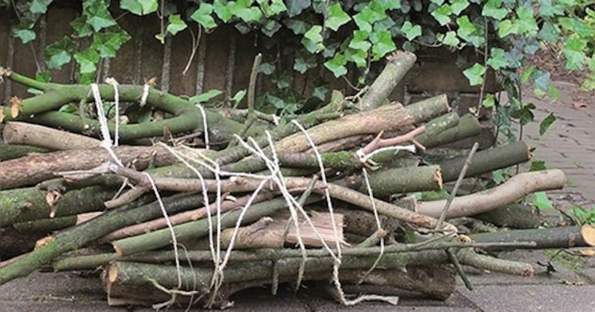 Gemeente Zundert haalt snoeihout op