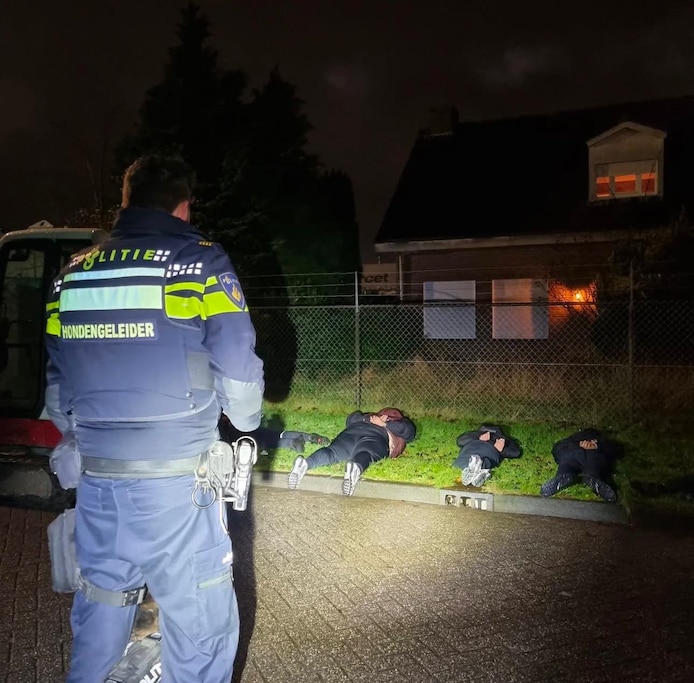 KOTARBAU® Schep D handvat van hout en metaal voor 33 mm steel