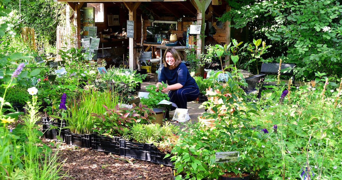 Slim beplanten, meer leven en volop genieten met Renate: ‘Mijn workshops kun je zonder groene vinger