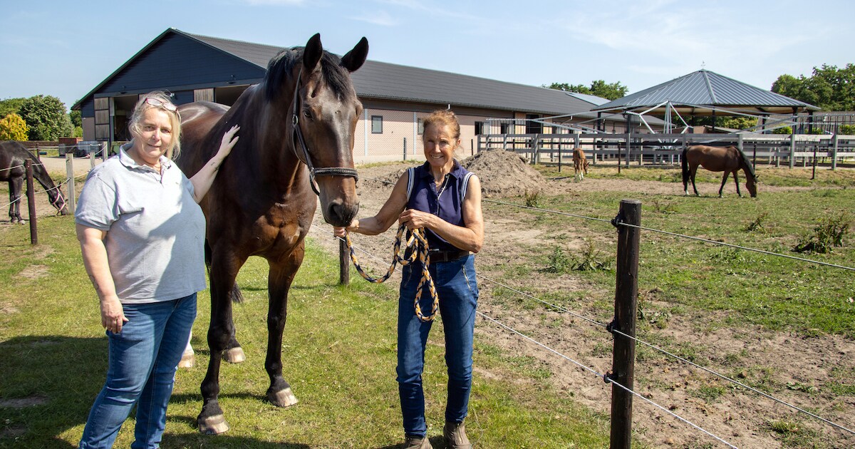 Het begon met twee stiekem gekochte paarden, nu bestieren Marianne en Veronica een paardenpaleis