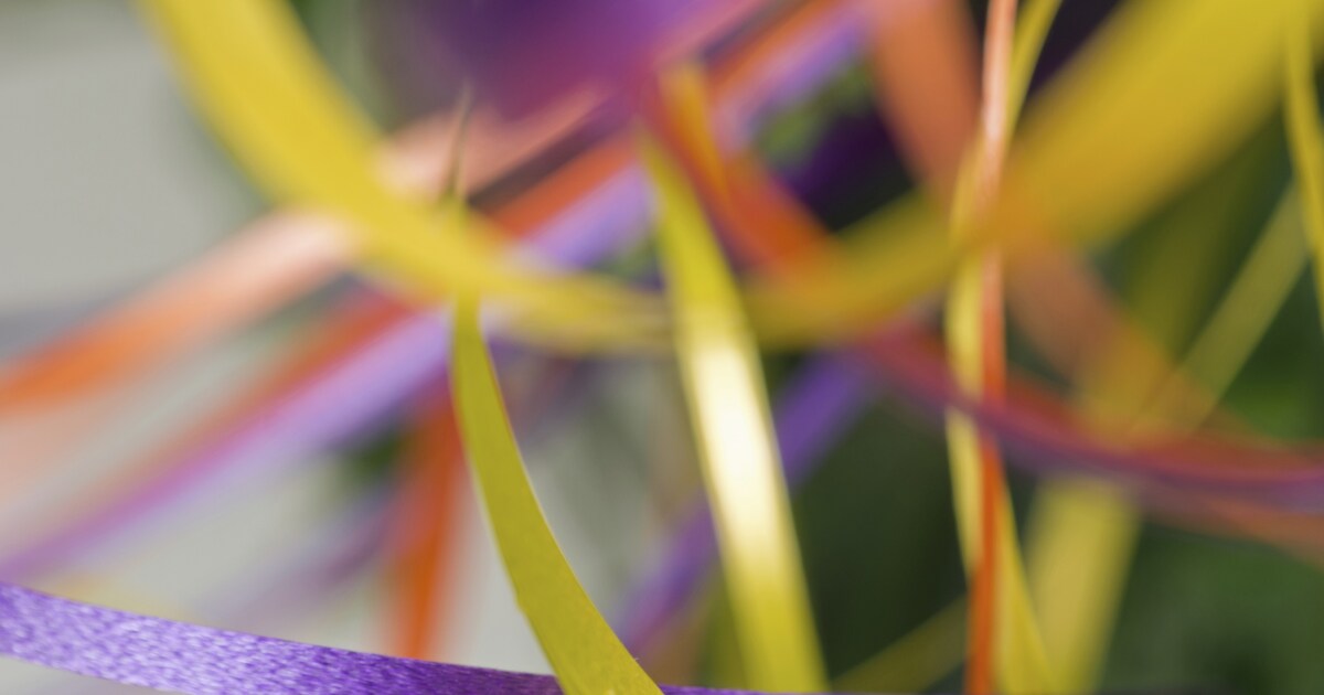 Arnold van Driessche ontvangt Pluimpagadder in Terhole