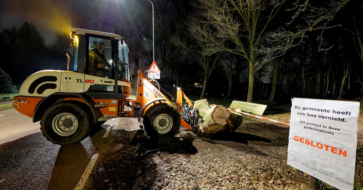 Boze Paul neemt een radicale stap tegen werkzaamheden in bos tegenover zijn deur in Berlicum