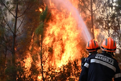 Frankrijk likt zijn wonden na historische bosbranden: halflege campings en miljoenenverlies