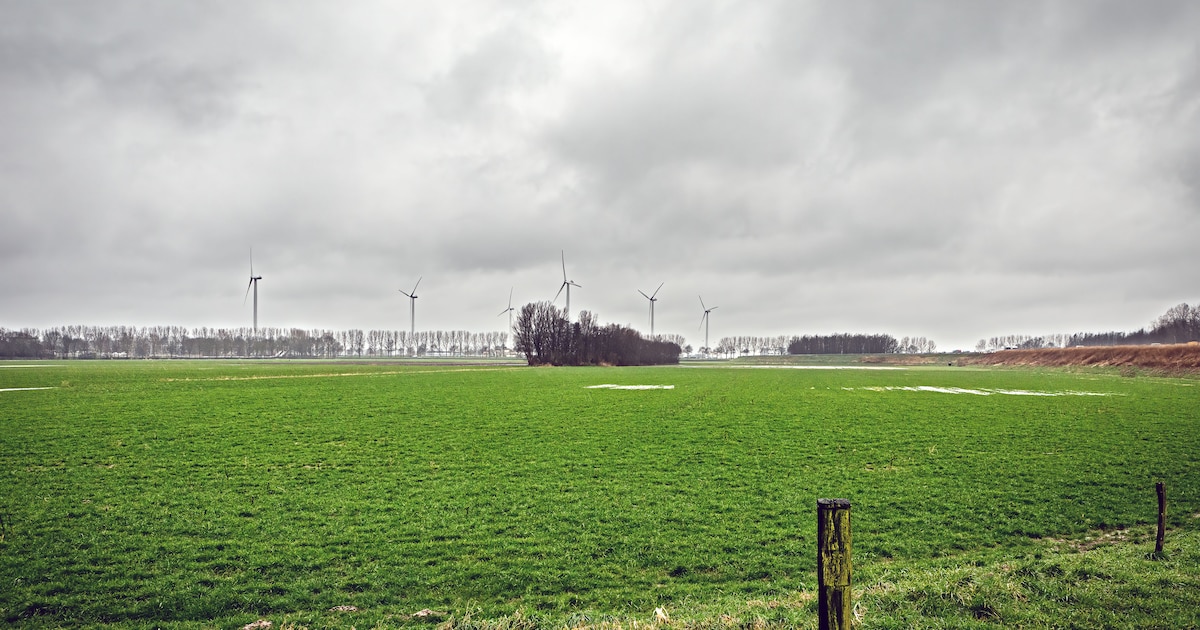 Raad staat voor pittige afweging: wel of geen megawindturbines in ...