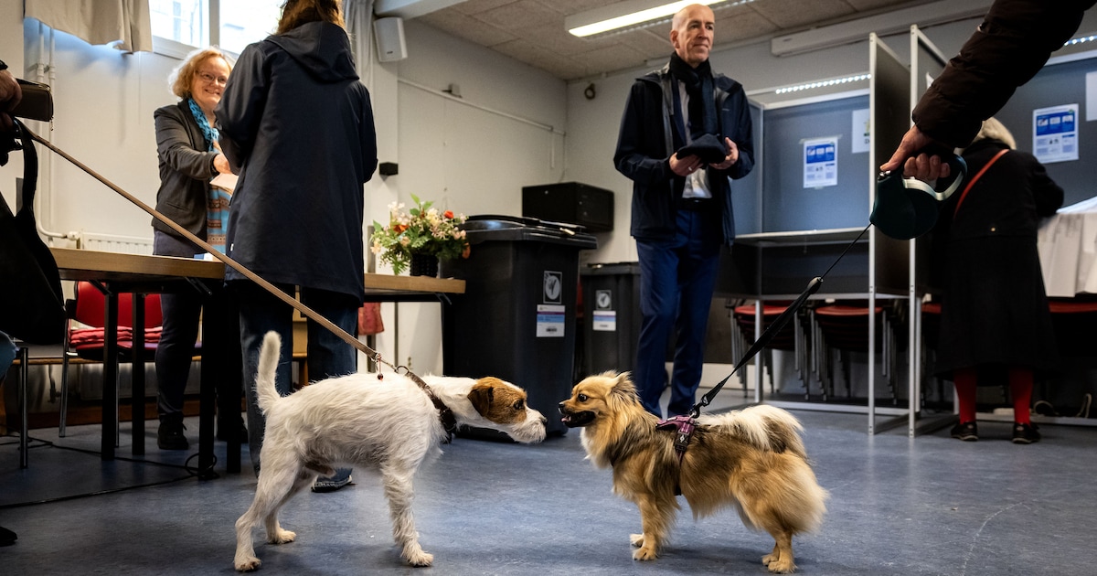 Zo stemde Etten-Leur: in deze wijk haalde de PVV 25 procent van alle stemmen