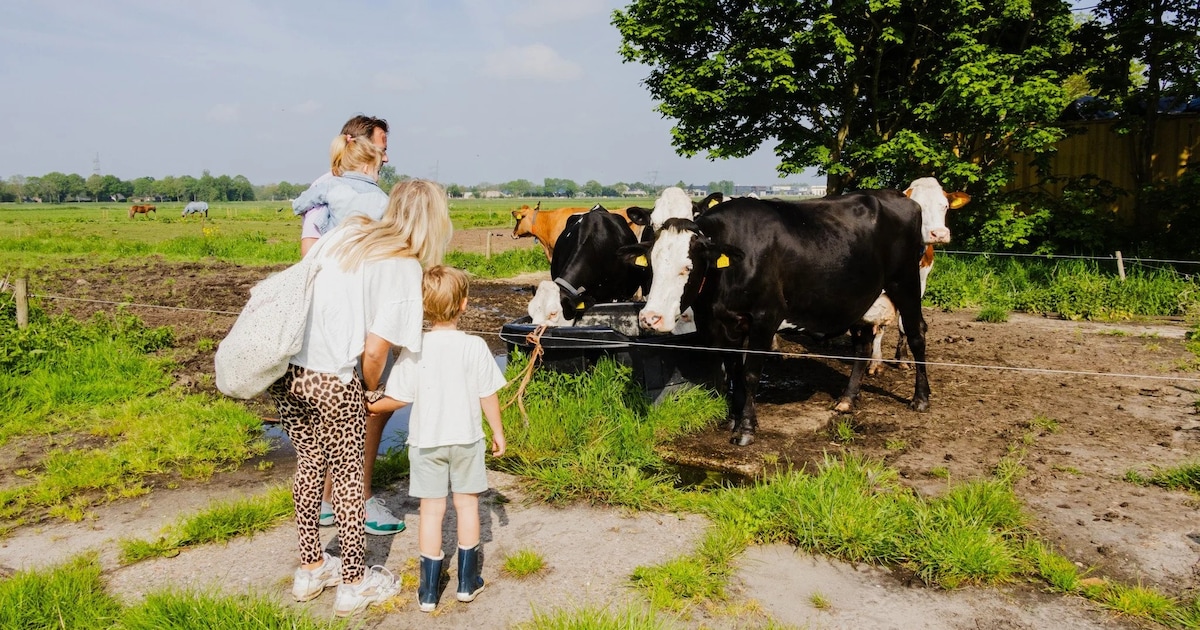 Weekendtips: deze dingen doe je in Vlissingen (15-17 mei)