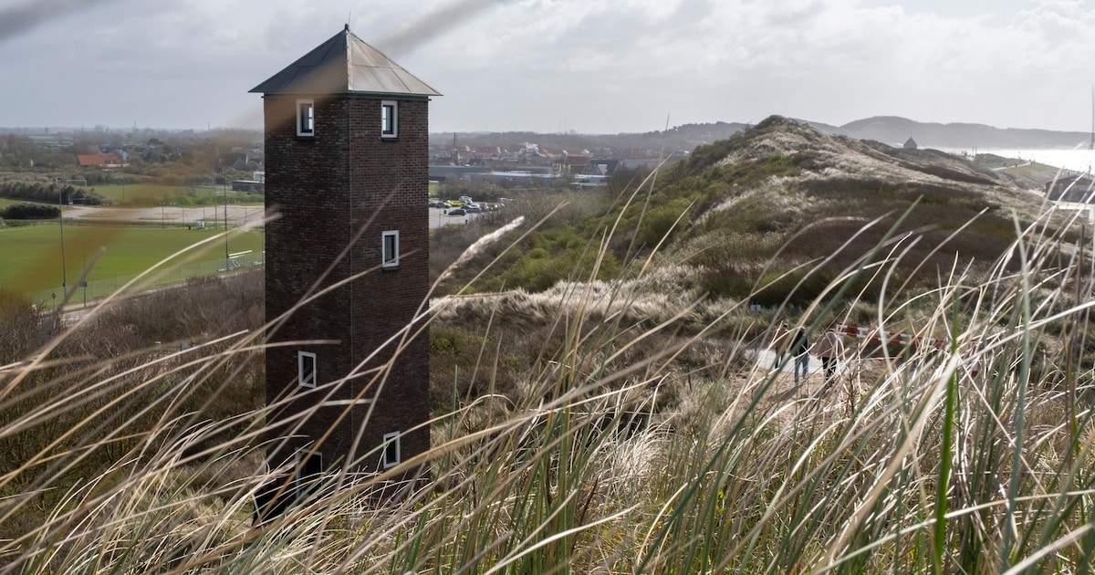 Veere adopteert de Sergeant: waar komt die opvallende naam eigenlijk vandaan?