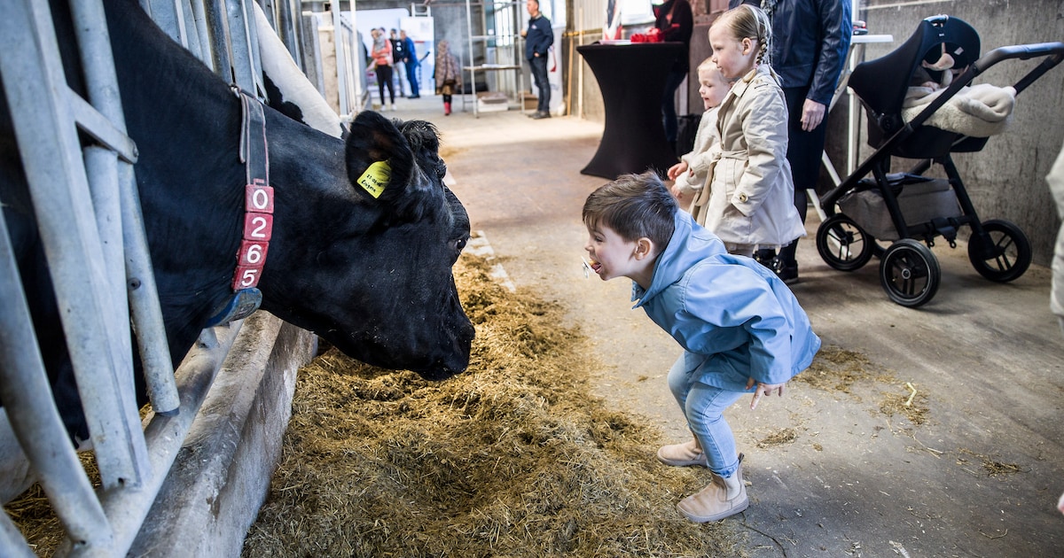 Open boerderijdag bij Landwinkel Maashoeve in Maasdam