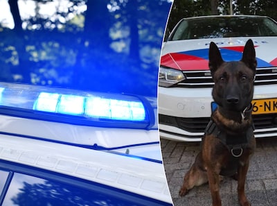 Man dreigt met hakbijl, mes en pikhouweel in Goirle: politie