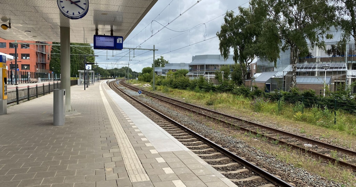 Geen treinen, maar bussen: dit weekend werkzaamheden aan het spoor tussen Helmond en Limburg